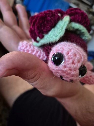 Kleine Schildkröte zum Knuddeln