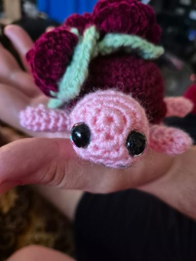 Kleine Schildkröte zum Knuddeln